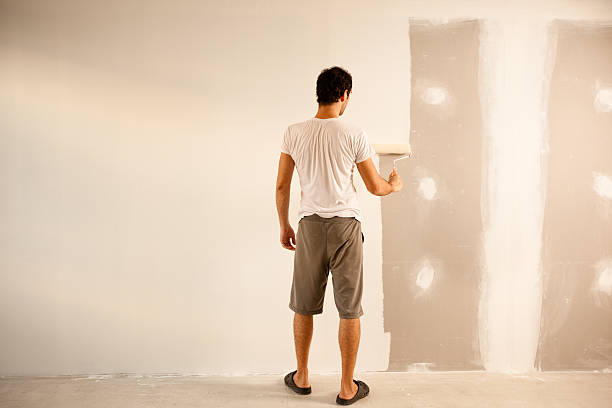 Reliable Zephyrhills South, FL Dry wall and painting Solutions